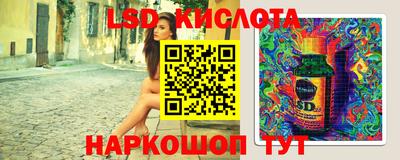 индика Гусев