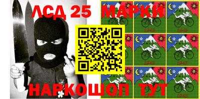 индика Гусев