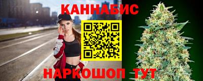 индика Гусев