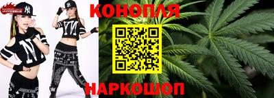 индика Гусев