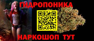 PSILOCYBIN Гусиноозёрск