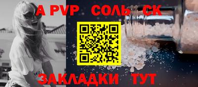 индика Гусев