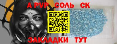 индика Гусев