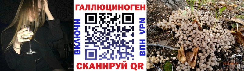 Галлюциногенные грибы мухоморы Салават