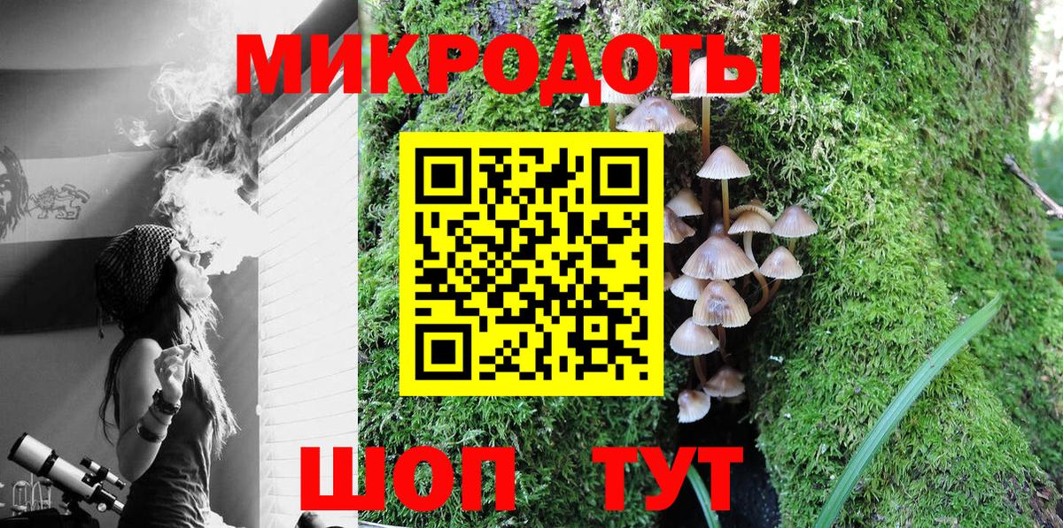 закладки  Галлюциногенные грибы MAGIC MUSHROOMS  Вход с VPN  Салават 